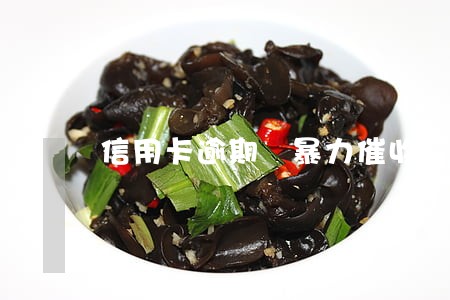 信用卡逾期 暴力催收 信用卡逾期 暴力催收